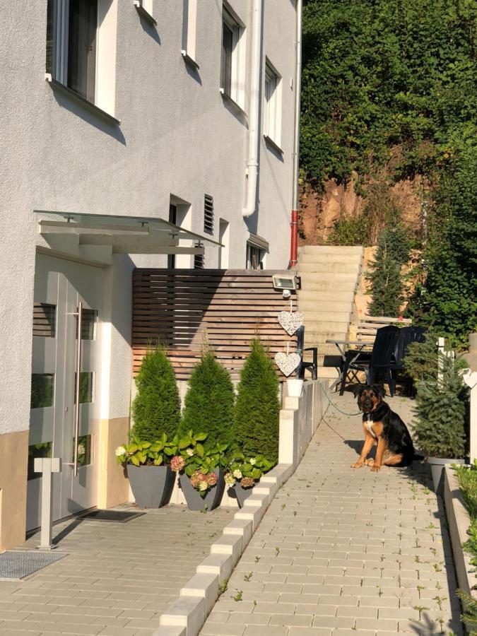 Ferienwohnungen Lamisto Am Waldesrand Neckartenzlingen Exteriör bild